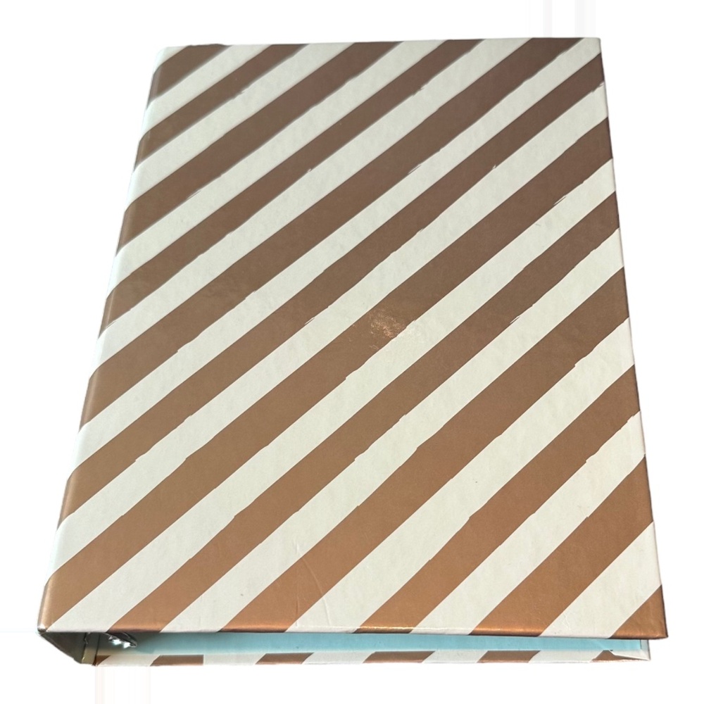 Target Stripe Mini 3 Ring Binder Planner